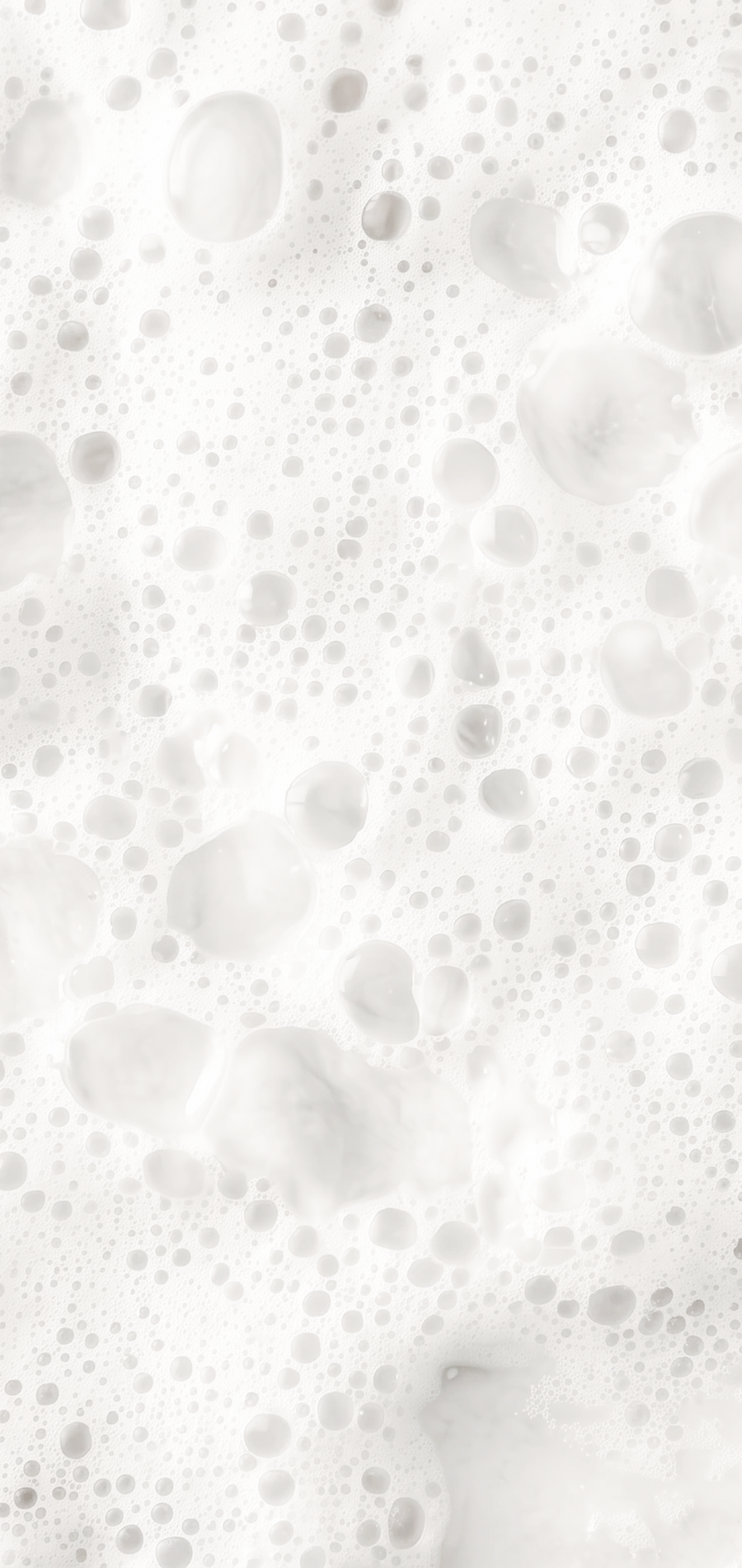 Bubbles illustrating the fermentation process
